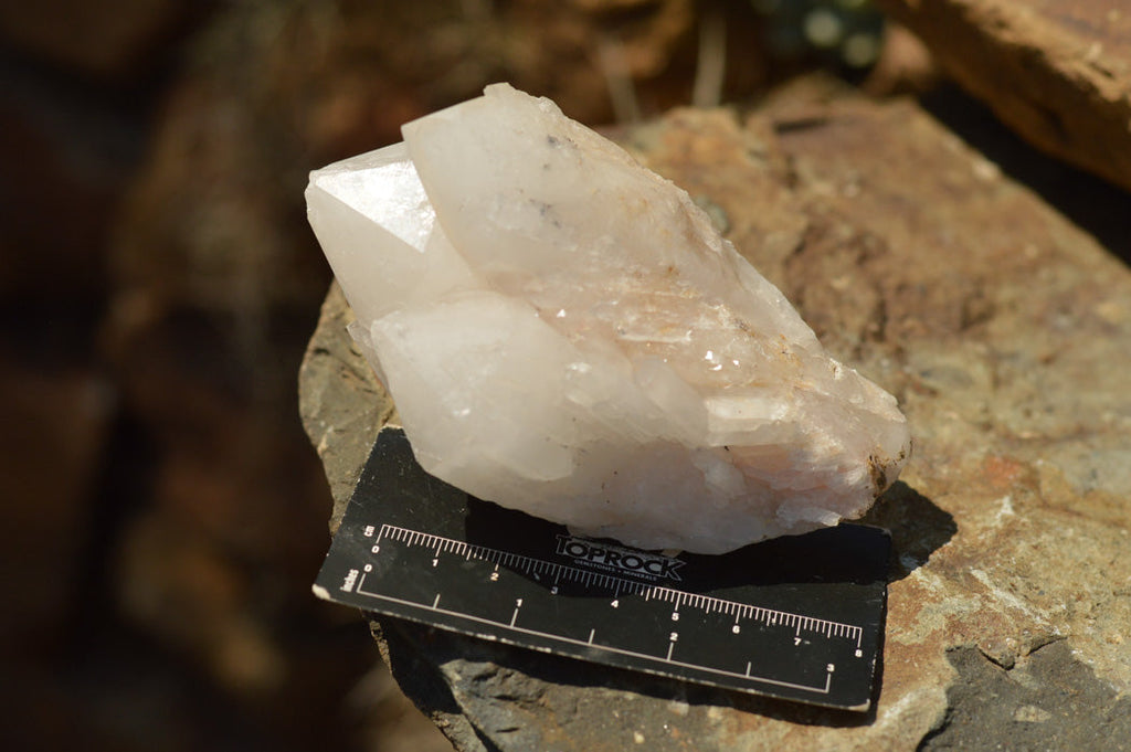 Natural Multi Terminated White Quartz Clusters  x 6 From Madagascar - TopRock