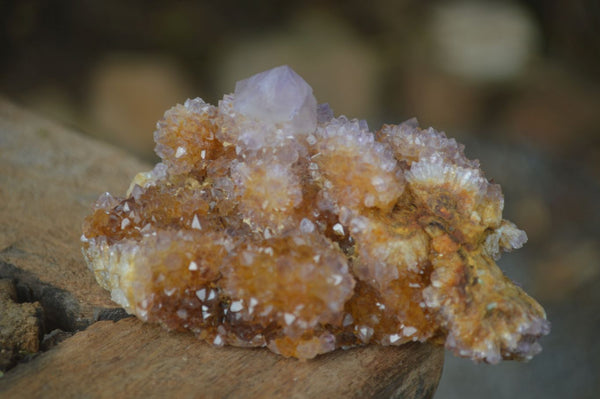 Natural Rare Spirit Ametrine Quartz Specimens  x 6 From Boekenhouthoek, South Africa - Toprock Gemstones and Minerals 