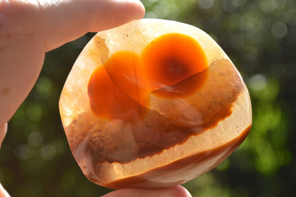 Polished Stunning Carnelian Free Forms (Mostly Standing) x 12 From Madagascar - TopRock