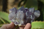 Natural Dark Amethyst Crystal Clusters x 12 From Zambia - Toprock Gemstones and Minerals 