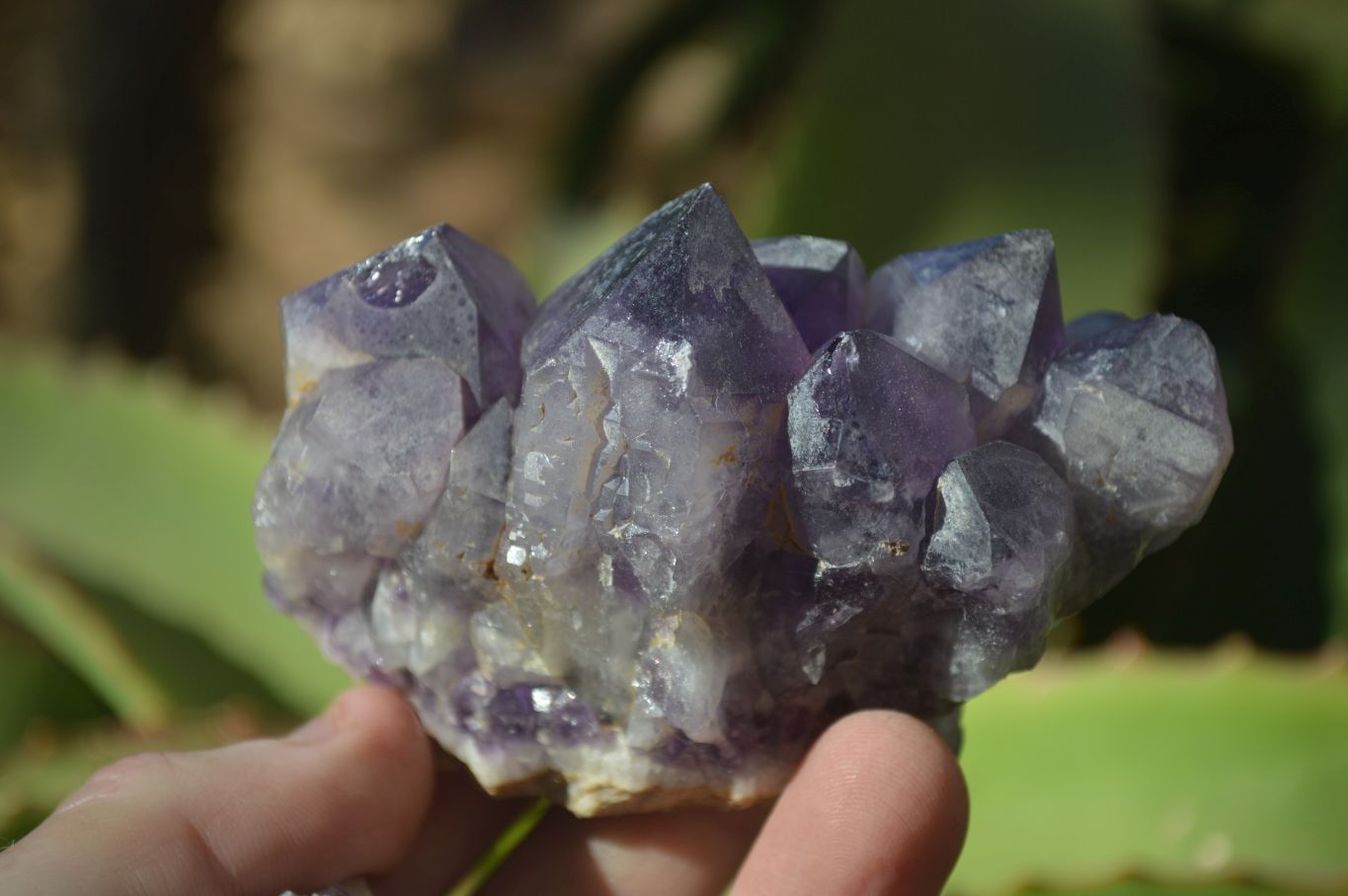 Natural Dark Amethyst Crystal Clusters x 12 From Zambia - Toprock Gemstones and Minerals 