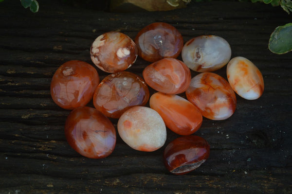 Polished Carnelian Agate Palm Stones  x 12 From Madagascar - Toprock Gemstones and Minerals 