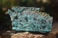Natural Drusy Coated Chrysocolla Dolomite With Malachite Specimens x 4 From Likasi, Congo - Toprock Gemstones and Minerals 