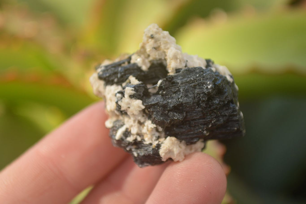 Natural Small Schorl Black Tourmaline Specimens x 70 From Erongo, Namibia - Toprock Gemstones and Minerals 