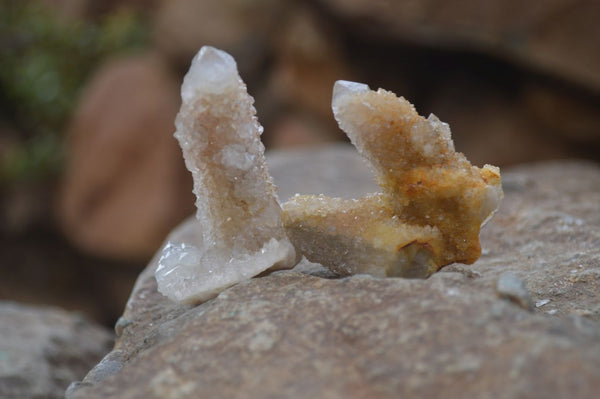 Natural Mixed Spirit Quartz Specimens x 55 From Boekenhouthoek, South Africa - Toprock Gemstones and Minerals 