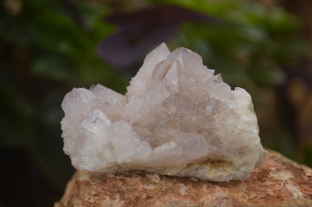Natural Pale Lilac Spirit Quartz Clusters x 12 From Boekenhouthoek, South Africa - Toprock Gemstones and Minerals 