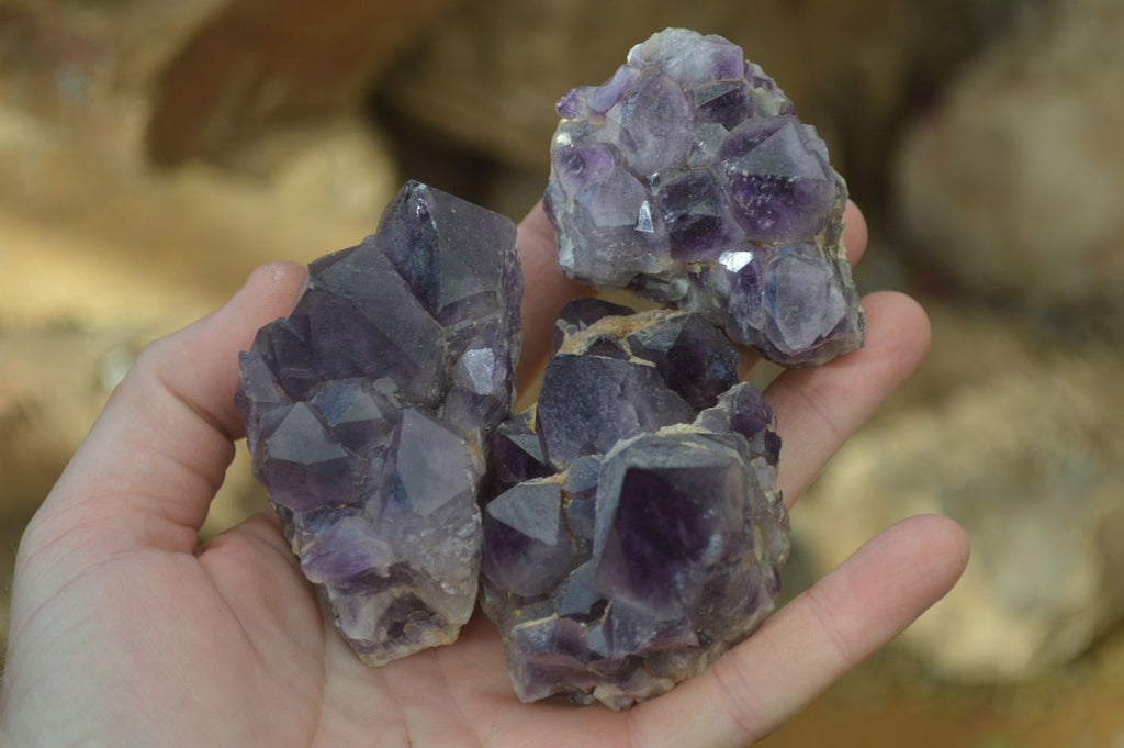Natural Dark Amethyst Crystal Clusters x 12 From Zambia - Toprock Gemstones and Minerals 