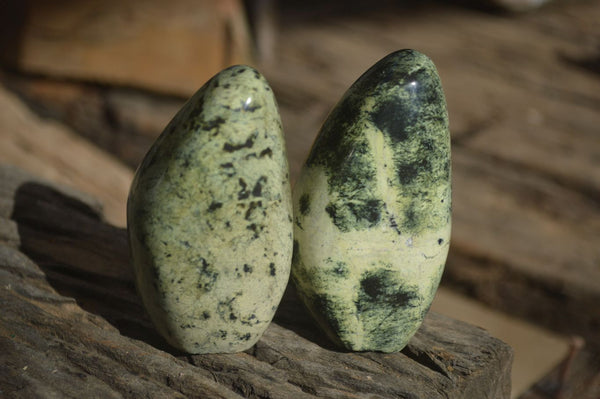 Polished Leopard Stone Standing Free Forms x 6 From Zimbabwe - Toprock Gemstones and Minerals 