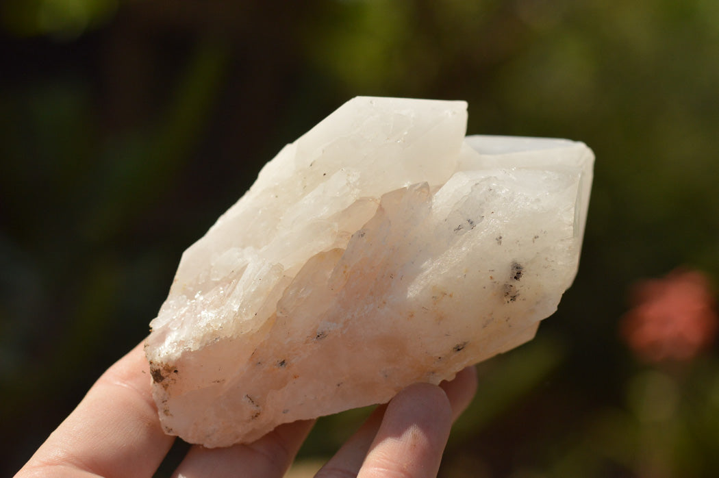 Natural Multi Terminated White Quartz Clusters  x 6 From Madagascar - TopRock