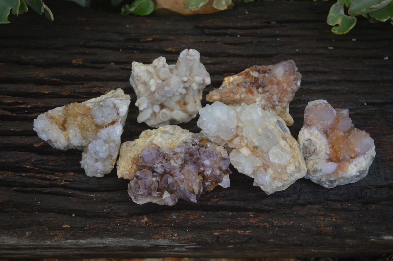 Natural Mixed Spirit Quartz Clusters  x 6 From Boekenhouthoek, South Africa - Toprock Gemstones and Minerals 