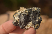 Natural Small Schorl Black Tourmaline Specimens x 70 From Erongo, Namibia - Toprock Gemstones and Minerals 