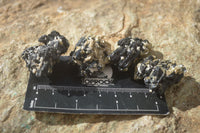 Natural Schorl Black Tourmaline Specimens x 70 From Erongo, Namibia - Toprock Gemstones and Minerals 