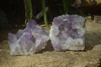 Natural Jacaranda Amethyst Clusters x 2 From Zambia - Toprock Gemstones and Minerals 