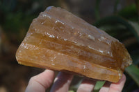Natural Honey Aragonite Etched & Cobbed Pieces  x 2 From Namibia - Toprock Gemstones and Minerals 