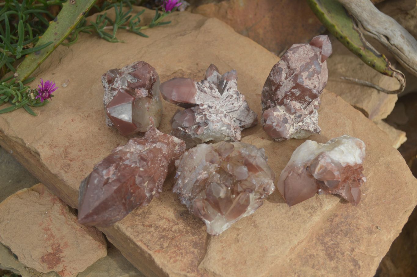 Natural Red Hematoid Quartz Specimens x 6 From Karoi, Zimbabwe - Toprock Gemstones and Minerals 
