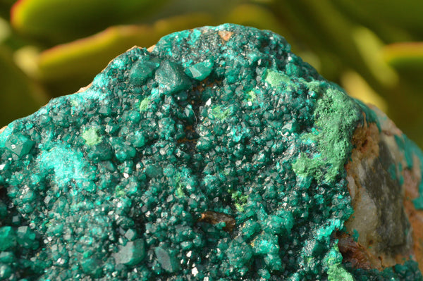 Natural Large Classic Dioptase Specimen With Malachite x 1 From Congo - TopRock