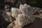 Natural Cascading Smokey Quartz Clusters x 3 From Luena, Congo - Toprock Gemstones and Minerals 