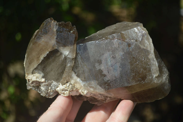Natural Large Smokey Quartz Floater Crystal Formations  x 2 From Mulanje, Malawi