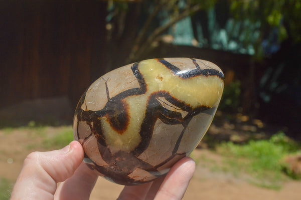 Polished Septaria Dragon's Eggs (Calcite & Aragonite) x 3 From Mahajanga, Madagascar - TopRock