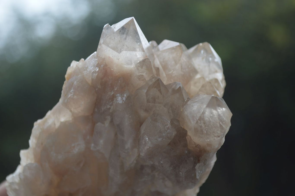 Natural Cascading White Phantom Smokey Quartz Specimens  x 6 From Luena, Congo - Toprock Gemstones and Minerals 