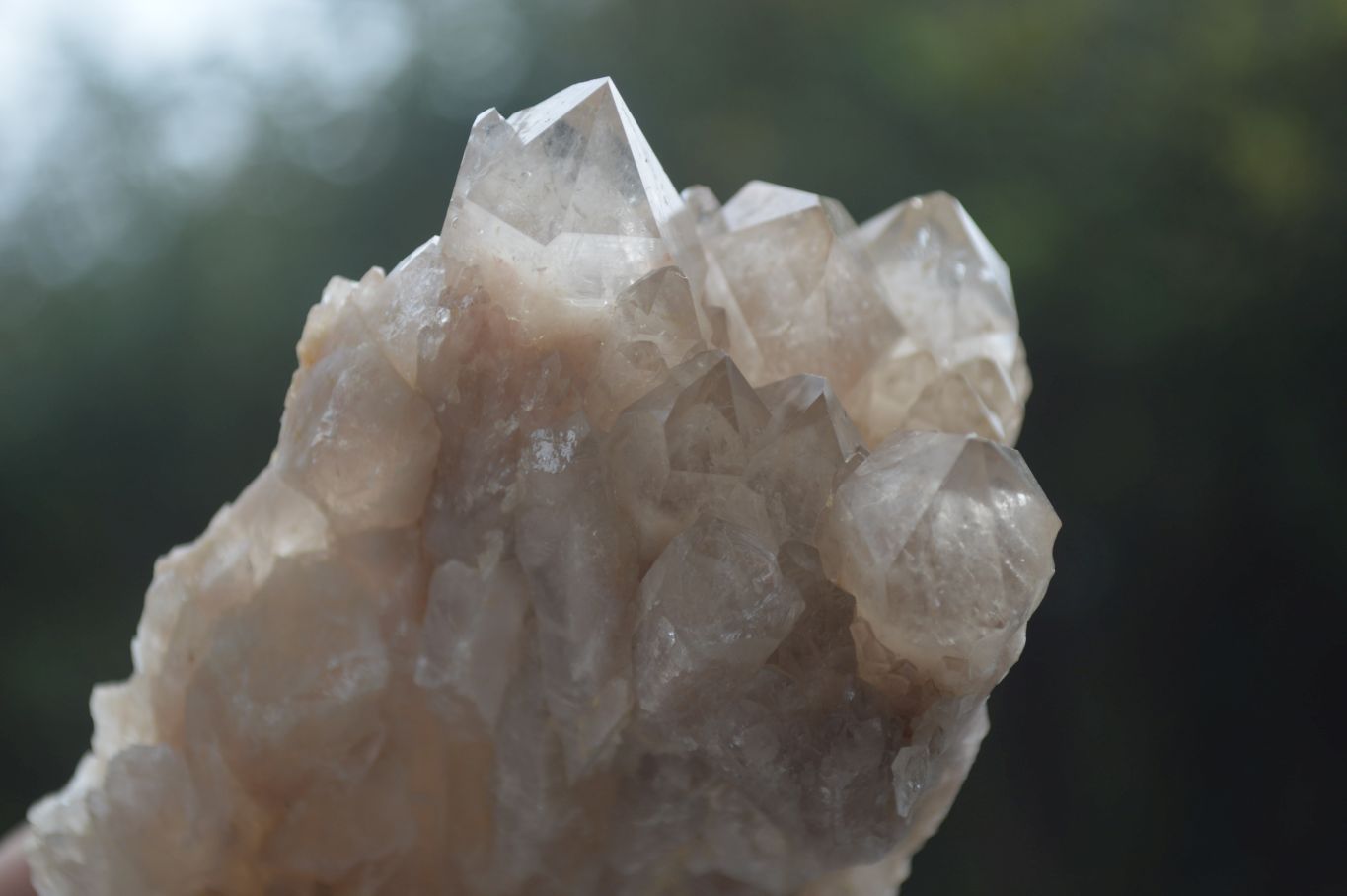 Natural Cascading White Phantom Smokey Quartz Specimens  x 6 From Luena, Congo - Toprock Gemstones and Minerals 