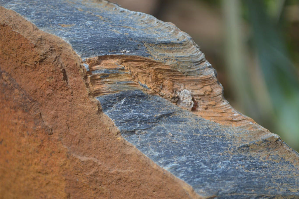 Natural Sliced Tigers Eye Specimen x 1 From Prieska, South Africa - Toprock Gemstones and Minerals 