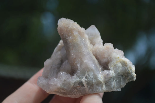 Natural Small Spirit Quartz Clusters  x 12 From Boekenhouthoek, South Africa - TopRock