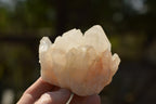 Natural Multi Terminated White Quartz Clusters  x 6 From Madagascar - TopRock