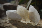 Natural Pineapple Candle Quartz Crystals  x 35 From Madagascar - Toprock Gemstones and Minerals 