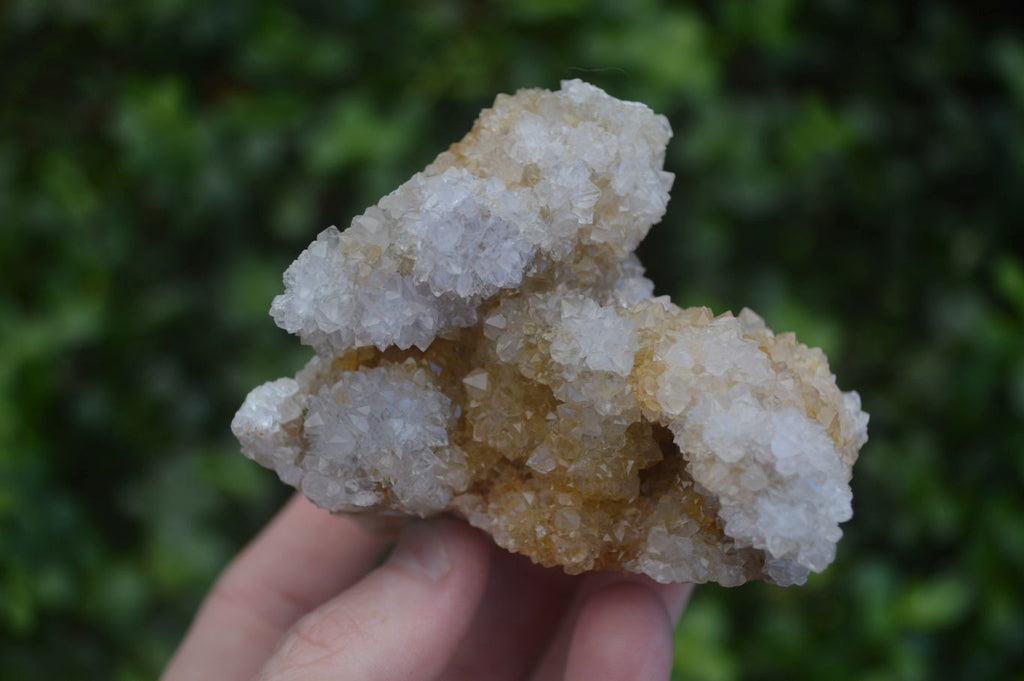 Natural Mixed Spirit Quartz Clusters  x 6 From Boekenhouthoek, South Africa - Toprock Gemstones and Minerals 