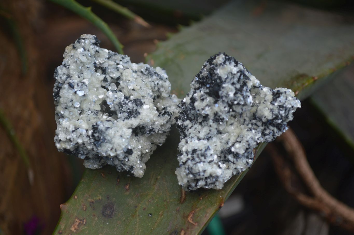 Natural Schorl Black Tourmaline Specimens x 35 From Erongo, Namibia - Toprock Gemstones and Minerals 