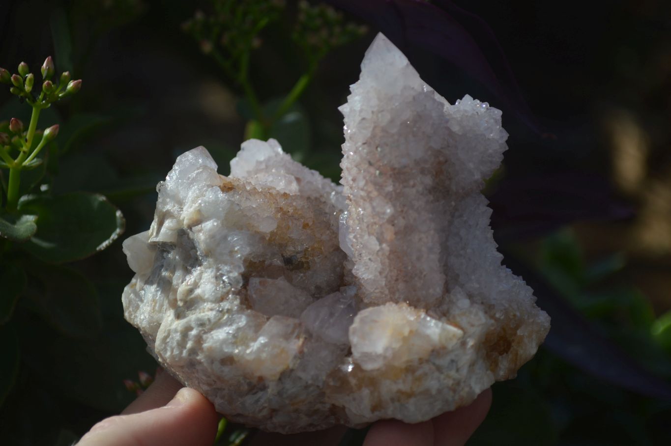 Natural Spirit Amethyst Quartz Clusters x 3 From Boekenhouthoek, South Africa - Toprock Gemstones and Minerals 