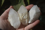 Natural Pineapple Candle Quartz Crystals  x 35 From Madagascar - Toprock Gemstones and Minerals 