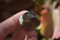 Natural Clear Smokey Quartz Crystals x 35 From Malawi - Toprock Gemstones and Minerals 