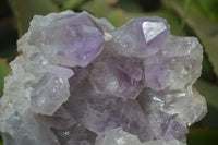 Natural Jacaranda Amethyst Clusters x 2 From Zambia - Toprock Gemstones and Minerals 