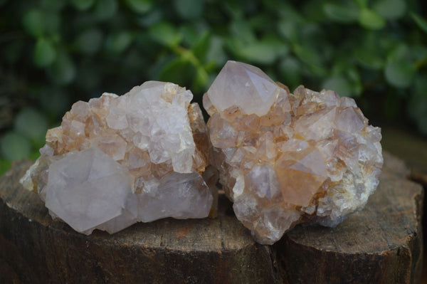 Natural Mixed Selection Of Spirit Amethyst Clusters  x 12 From Boekenhouthoek, South Africa - Toprock Gemstones and Minerals 