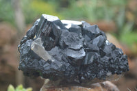 Natural Schorl Black Tourmaline Specimens x 2 From Erongo Mountains, Namibia - TopRock