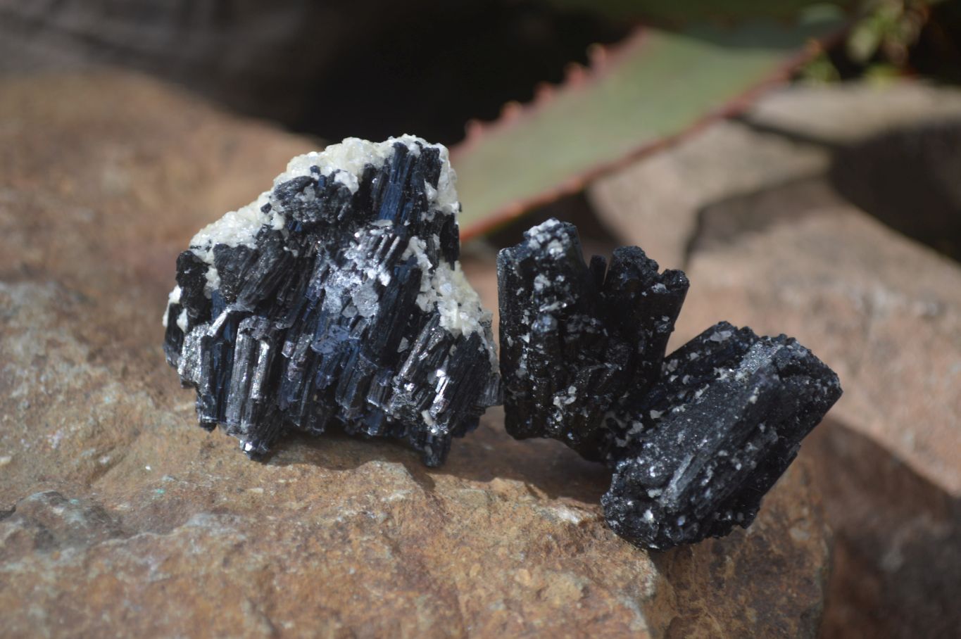 Natural Schorl Black Tourmaline Specimens x 35 From Erongo, Namibia - Toprock Gemstones and Minerals 