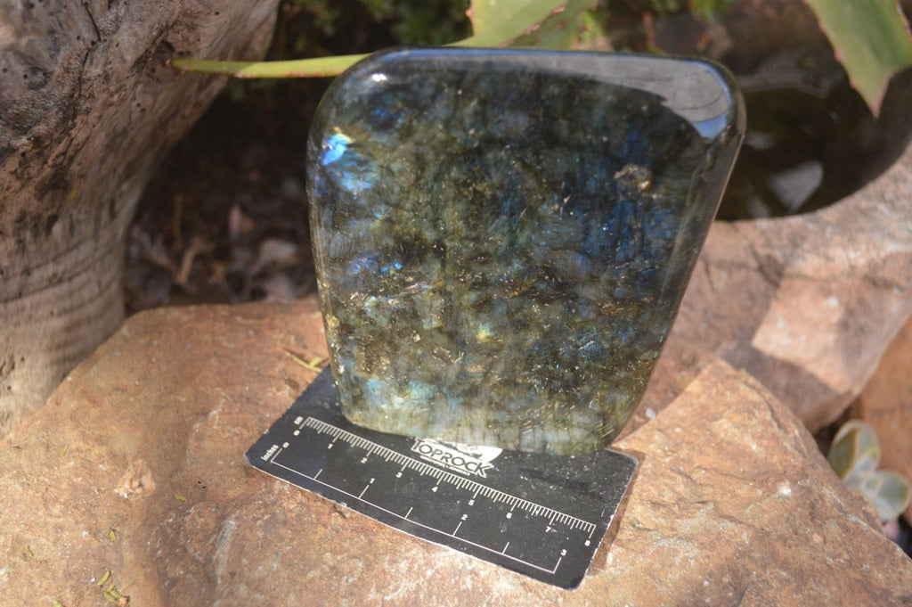 Polished Labradorite Standing Free Forms With Purple & Blue Flash  x 2 From Tulear, Madagascar - Toprock Gemstones and Minerals 