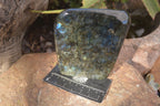 Polished Labradorite Standing Free Forms With Purple & Blue Flash  x 2 From Tulear, Madagascar - Toprock Gemstones and Minerals 
