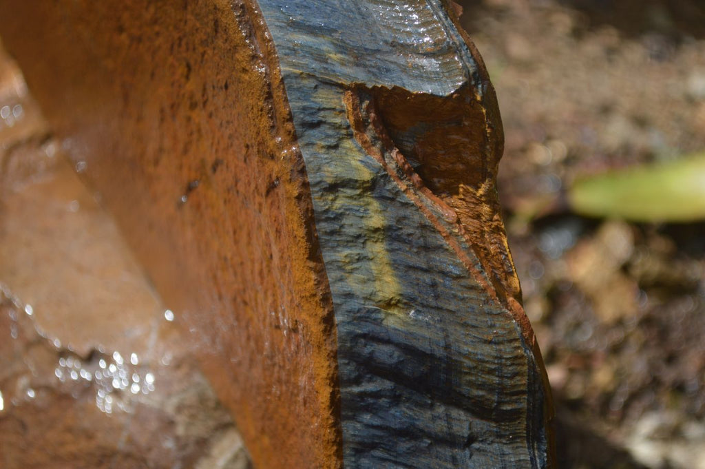 Natural Sliced Tigers Eye Specimen x 1 From Prieska, South Africa - Toprock Gemstones and Minerals 