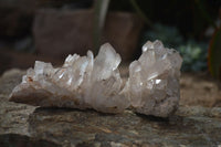 Natural Mixed Selection Of Quartz Clusters  x 12 From Madagascar - Toprock Gemstones and Minerals 