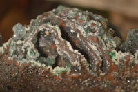 Natural Drusy Coated Ball Malachite On Dolomite Specimens  x 2 From Likasi, Congo - Toprock Gemstones and Minerals 