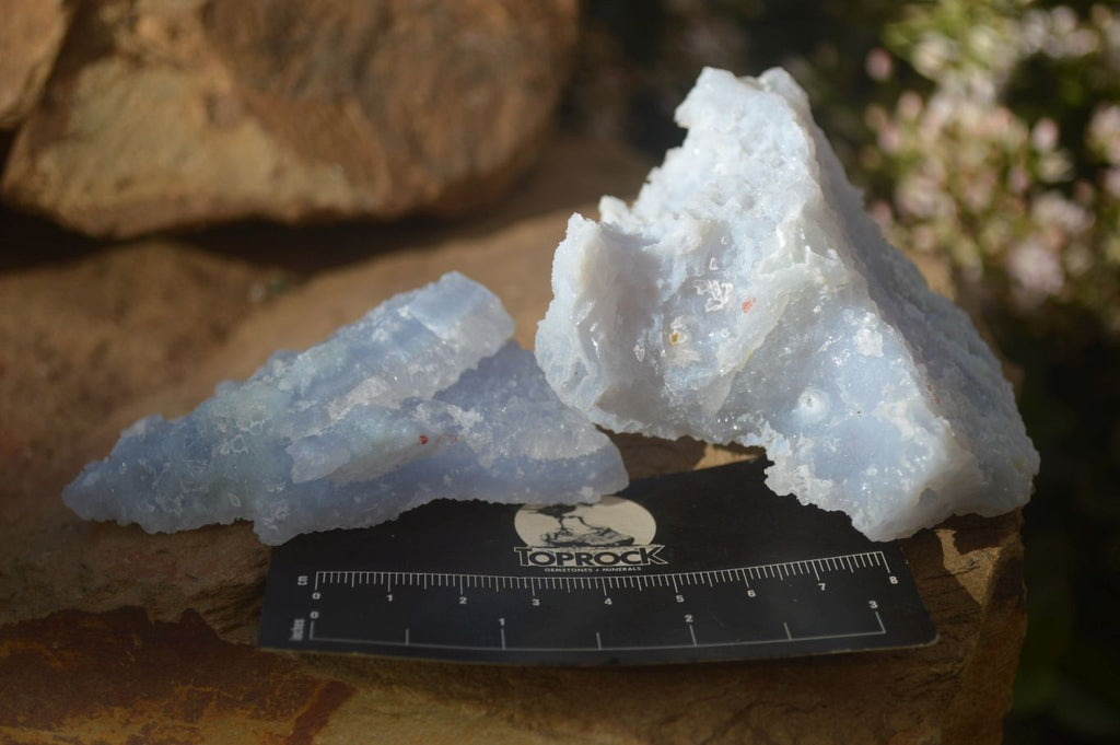 Natural Etched Blue Chalcedony Specimens x 12 From Nsanje, Malawi - Toprock Gemstones and Minerals 