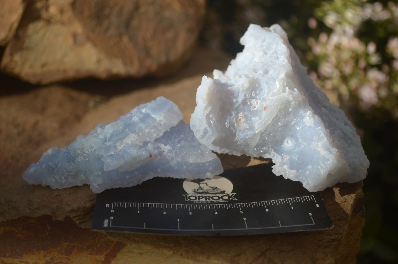 Natural Etched Blue Chalcedony Specimens x 12 From Nsanje, Malawi - Toprock Gemstones and Minerals 