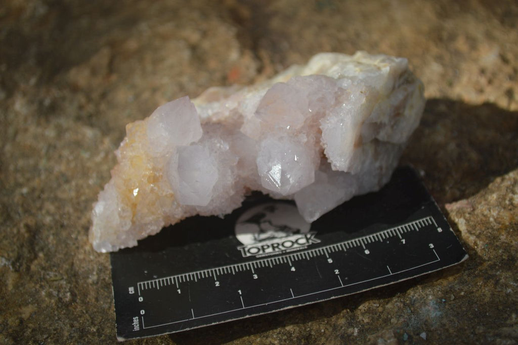 Natural Spirit Amethyst / Ametrine Quartz Clusters  x 6 From Boekenhouthoek, South Africa - Toprock Gemstones and Minerals 