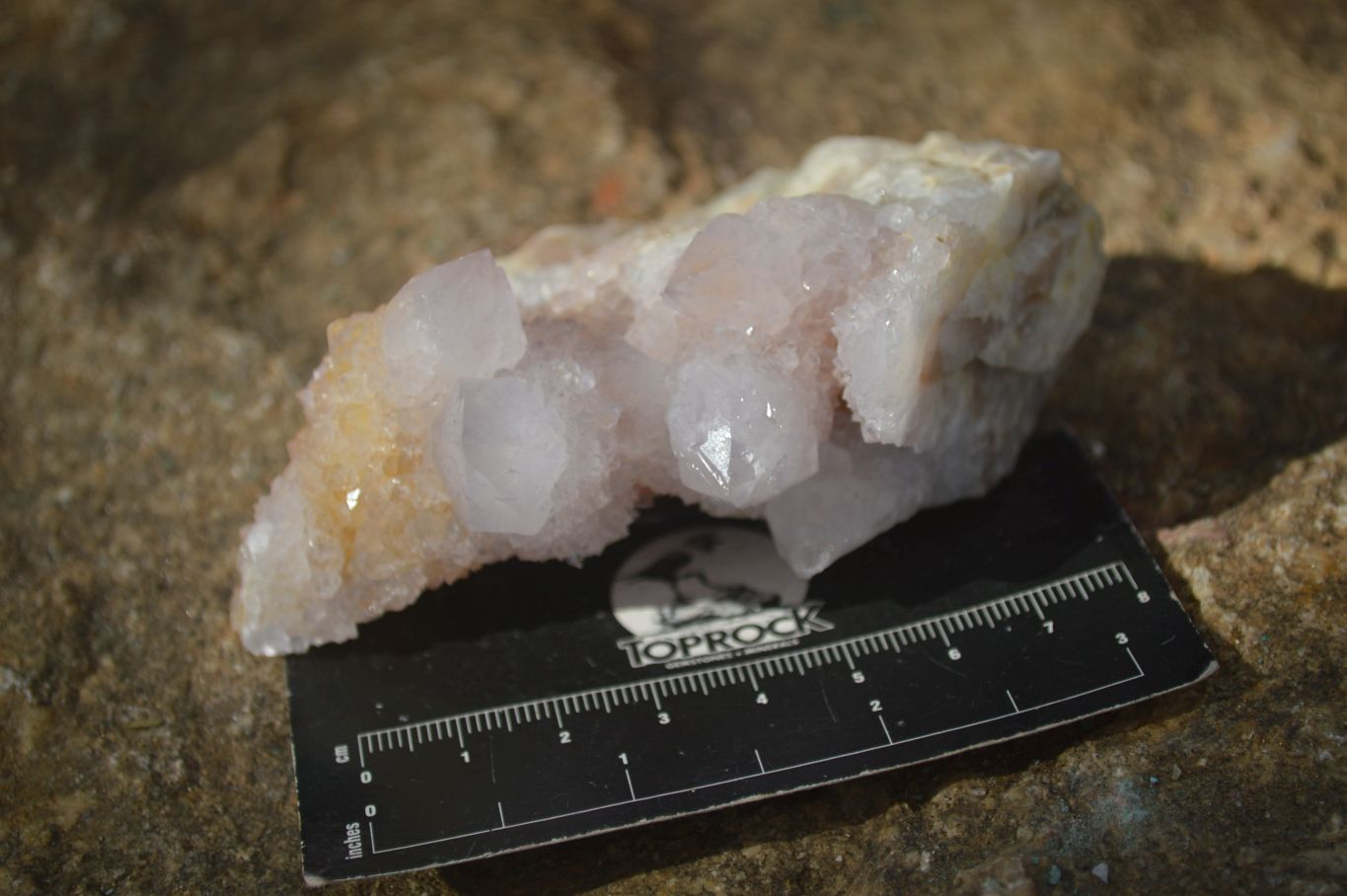 Natural Spirit Amethyst / Ametrine Quartz Clusters  x 6 From Boekenhouthoek, South Africa - Toprock Gemstones and Minerals 