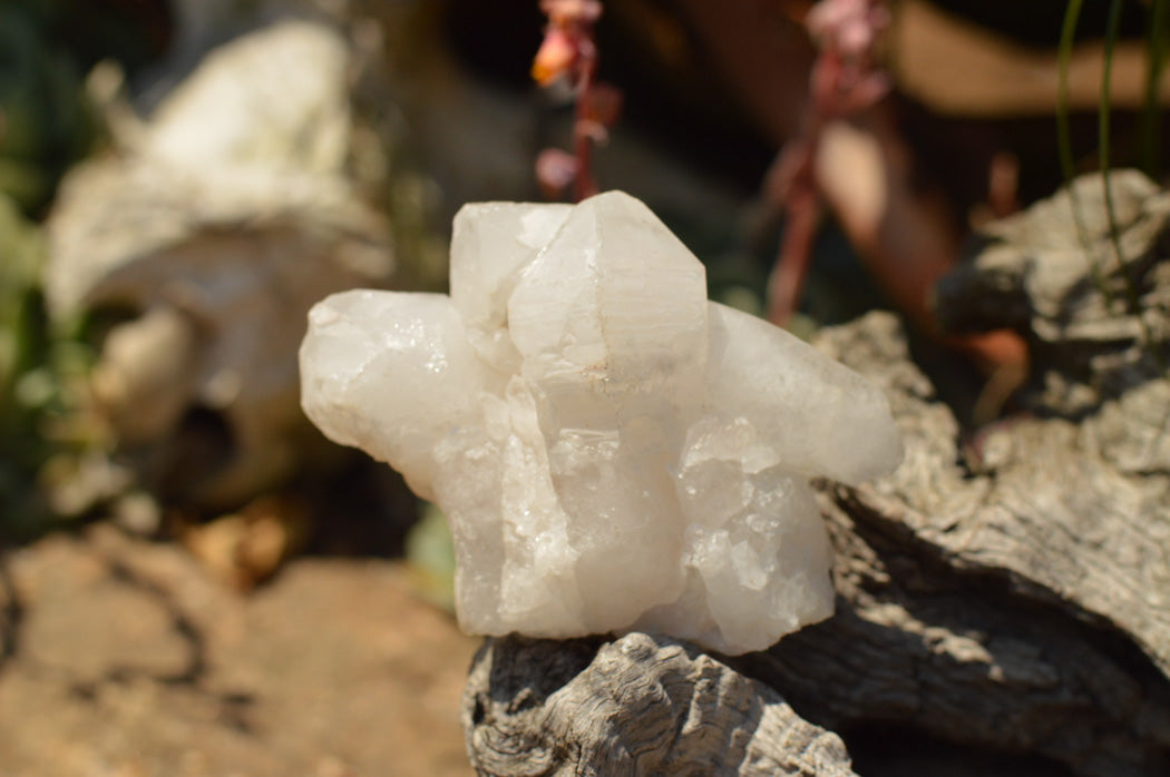 Natural Multi Terminated White Quartz Clusters  x 6 From Madagascar - TopRock