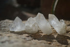 Natural Pineapple Candle Quartz Crystals  x 35 From Madagascar - Toprock Gemstones and Minerals 