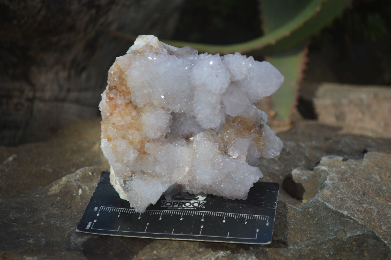 Natural Spirit Amethyst Quartz Clusters x 3 From Boekenhouthoek, South Africa - Toprock Gemstones and Minerals 